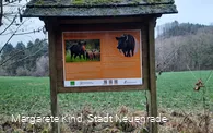 Infotafel Wildschweinweg ©M.Kind.jpg