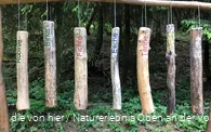 Für alle "Musikkünstler": das Dendrophon