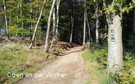 Wanderwegabschnitt VolmeSchatz Sagen auf dem Arney bei Kierspe