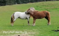 Zutrauliche Tiere