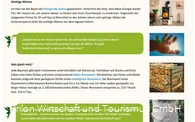 Infotafel Station 8 Waldfeenpfad