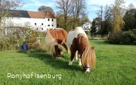 Ponyhof Isenburg