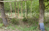 IMG_2926.jpeg