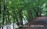 Entlang der Lenne