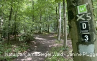 Pfad Nähe Danzturm Iserlohn