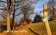 Scheuerpfahl Wegweiser
