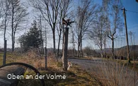 Scheuerpfahl Phönix