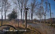 Scheuerpfahl Phönix
