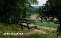 Riesen Bank bei Eversberg 1 © Jessica Rickert.jpg