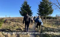 Wandergruppe auf der Sauerland-Waldroute Richtung Lörmecketurm