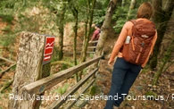 Pfad bei Wagenschmier auf dem Rothaarsteig