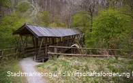 Naturerlebnis Wald Meerhof Brücke