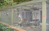 Freizeitpark Biebertal Vogelkäfig