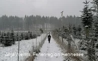 Anstieg durch Weihnachtsbaumplantagen
