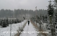 Anstieg durch Weihnachtsbaumplantagen