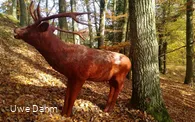 Figur Bogenparcours