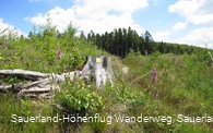 Wegemarkierung Sauerland-Höhenflug