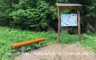 Die Infotafel gibt einen Überblick über die heimischen Vogelarten