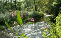 Zuweg Sauerlandroute