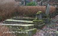 Jüdischer Friedhof Niedermarsberg
