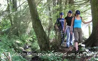 Wandern auf naturbelassenen Wegen im Sauerland