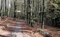 Der Weg führt durch den Kletterwald hindurch