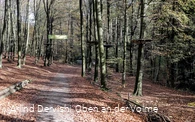 Der Weg führt durch den Kletterwald hindurch