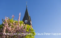 Ein Kirchturm hinter blühenden Bäumen.