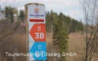 2354638