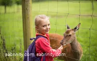 Rehgehege im Park