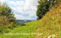 Tolle Ausblicke auf dem Geschichtspfad Welleringhausen
