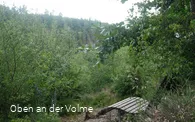 Waldsofa mit Sagenplakette
