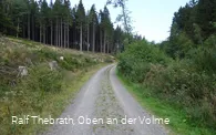 Zu Beginn führt der Weg uns in Richtung Wald