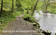 Fluss im Hönnetal 