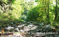 NSG Drübel