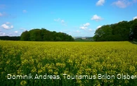 Feld