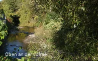 Die Volme in Dahlerbrück