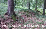 Landwehr entlang der Themenroute