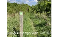 Naturpfad Sauerland-Waldroute
