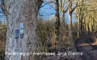 Wegezeichen BestwegNuttlar KW Waldroute