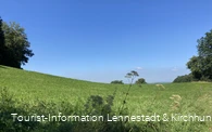 Wiese oberhalb von Grevenbrück 3.jpeg