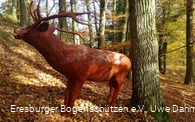 Bogenparcours Marsberg