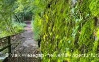 Zuweg Sauerlandroute 2