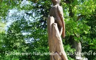 Naturerlebnis Wald Meerhof Specht