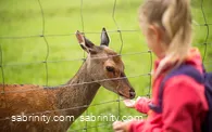 Wildpark