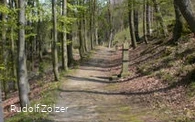Weg zur Kapelle