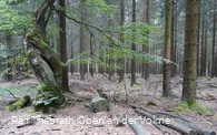 Beeindruckende Natur am Wegesrand