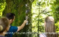 Wandern auf dem Veischeder Sonnenpfad
