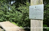 Umweltwippe am Sinnepfad am Hennesee