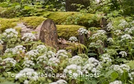 Natur bei Glindfeld